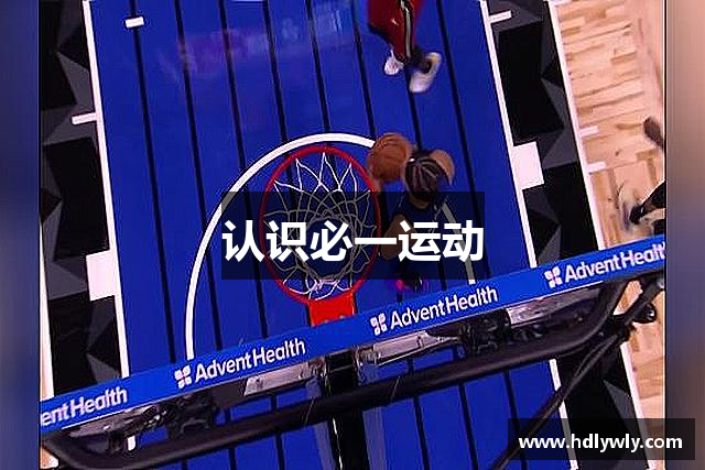 认识必一运动